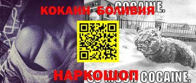 стаф Дубна