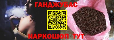 стаф Дубна
