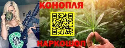 стаф Дубна