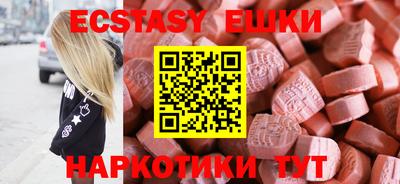 стаф Дубна