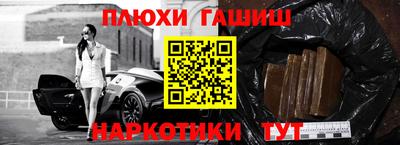стаф Дубна
