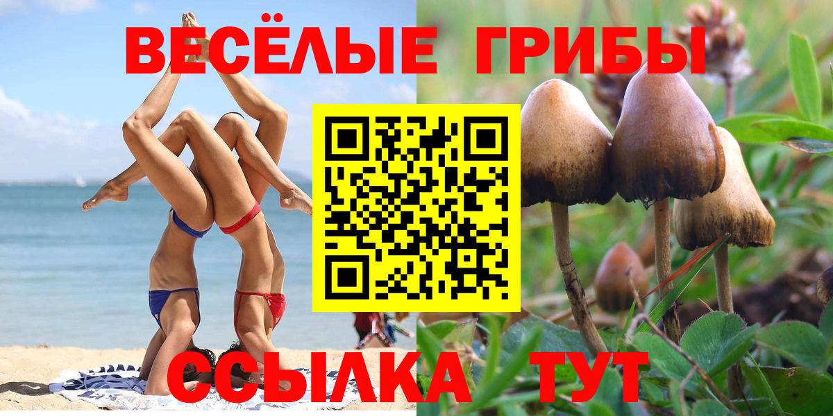 Галлюциногенные грибы прущие грибы  Галлюциногенные грибы MAGIC MUSHROOMS  Корсаков  Вход с VPN 