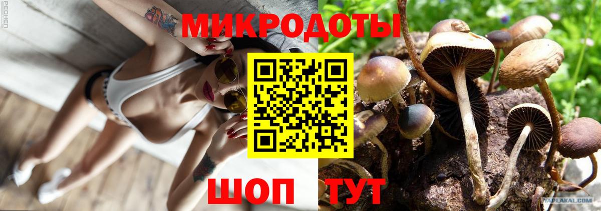 Псилоцибиновые грибы прущие грибы Корсаков