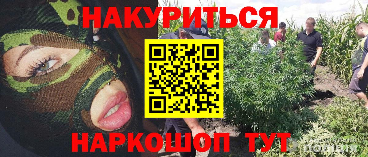 Бошки марихуана семена Корсаков