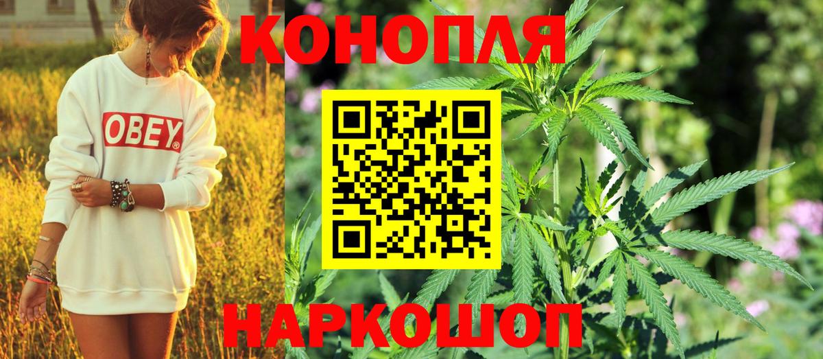 Конопля Bruce Banner  Вход с VPN  Марихуана THC 21%  Конопля марихуана  Корсаков 